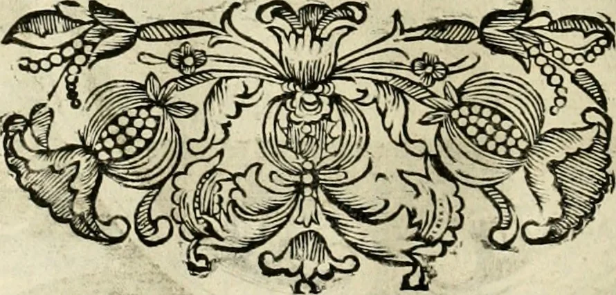An illustration from Innocentia vindicata : in qua gravissimis argumentis ex S. Thoma petitis ostenditur, angelicum doctorem pro Immaculato Conceptu Deiparae sensisse & scripsisse ..., 1695, leaf 153
