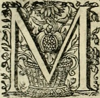 An illustration from Innocentia vindicata : in qua gravissimis argumentis ex S. Thoma petitis ostenditur, angelicum doctorem pro Immaculato Conceptu Deiparae sensisse & scripsisse ..., 1695, leaf 155
