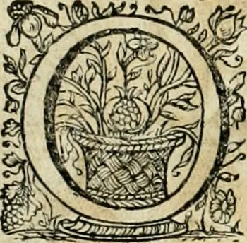 An illustration from Innocentia vindicata : in qua gravissimis argumentis ex S. Thoma petitis ostenditur, angelicum doctorem pro Immaculato Conceptu Deiparae sensisse & scripsisse ..., 1695, leaf 157