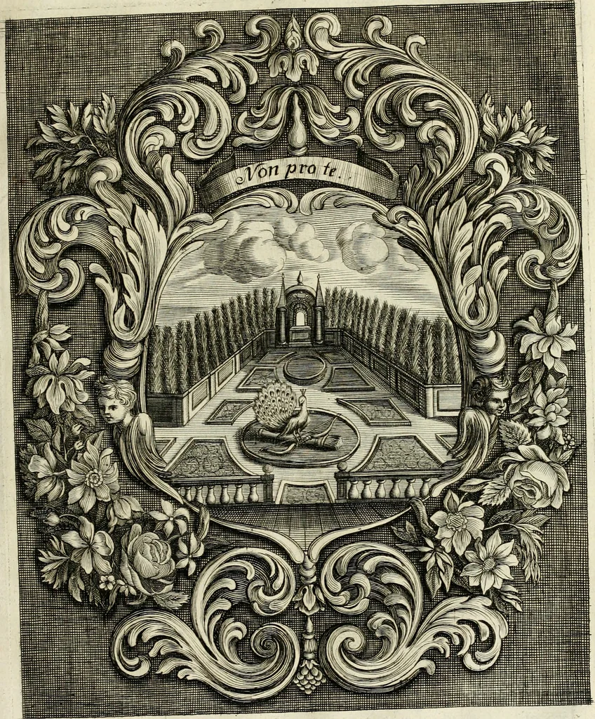 An illustration from Innocentia vindicata : in qua gravissimis argumentis ex S. Thoma petitis ostenditur, angelicum doctorem pro Immaculato Conceptu Deiparae sensisse & scripsisse ..., 1695, leaf 158