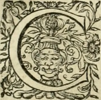 An illustration from Innocentia vindicata : in qua gravissimis argumentis ex S. Thoma petitis ostenditur, angelicum doctorem pro Immaculato Conceptu Deiparae sensisse & scripsisse ..., 1695, leaf 161