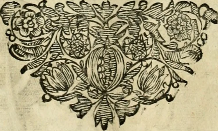 An illustration from Innocentia vindicata : in qua gravissimis argumentis ex S. Thoma petitis ostenditur, angelicum doctorem pro Immaculato Conceptu Deiparae sensisse & scripsisse ..., 1695, leaf 161