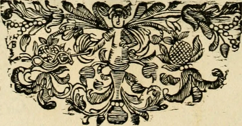 An illustration from Innocentia vindicata : in qua gravissimis argumentis ex S. Thoma petitis ostenditur, angelicum doctorem pro Immaculato Conceptu Deiparae sensisse & scripsisse ..., 1695, leaf 163