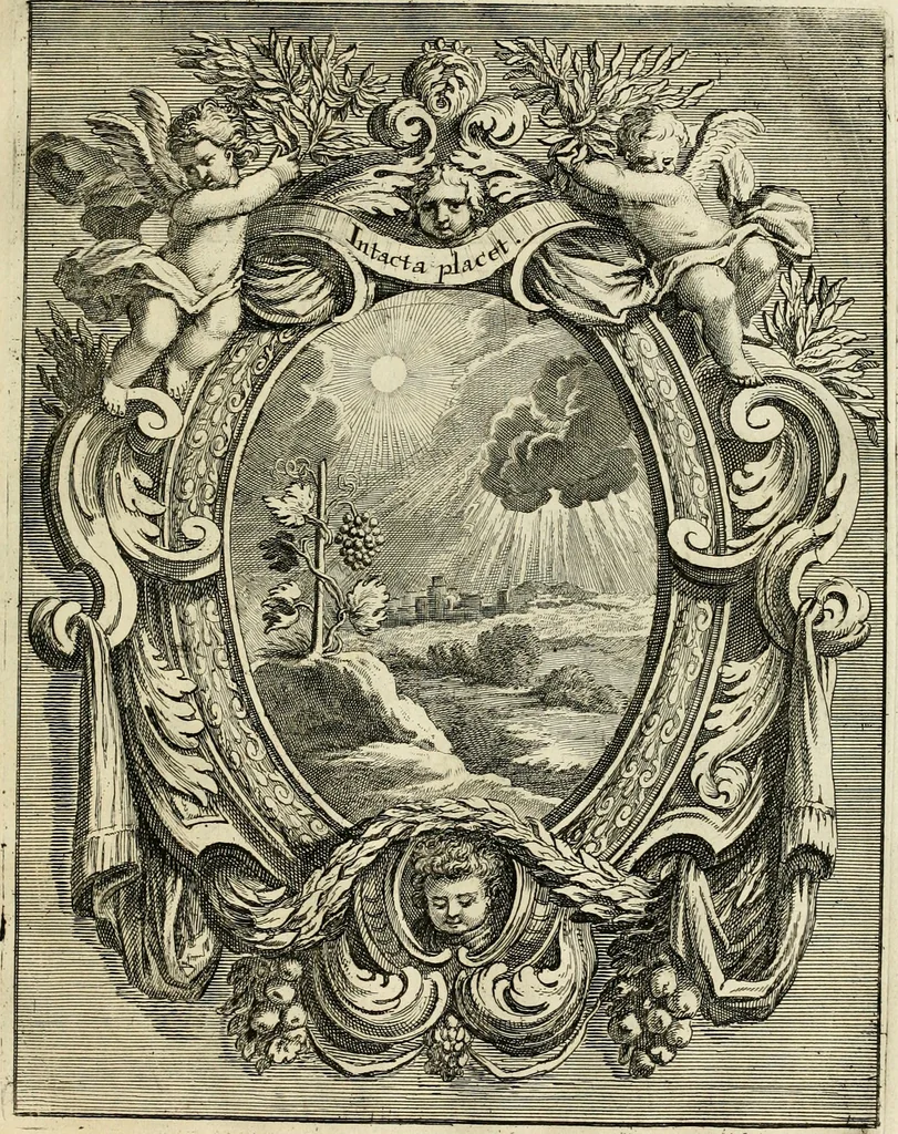 An illustration from Innocentia vindicata : in qua gravissimis argumentis ex S. Thoma petitis ostenditur, angelicum doctorem pro Immaculato Conceptu Deiparae sensisse & scripsisse ..., 1695, leaf 166