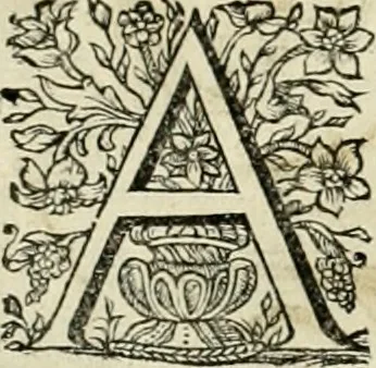 An illustration from Innocentia vindicata : in qua gravissimis argumentis ex S. Thoma petitis ostenditur, angelicum doctorem pro Immaculato Conceptu Deiparae sensisse & scripsisse ..., 1695, leaf 169