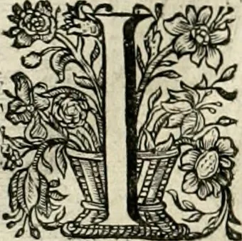 An illustration from Innocentia vindicata : in qua gravissimis argumentis ex S. Thoma petitis ostenditur, angelicum doctorem pro Immaculato Conceptu Deiparae sensisse & scripsisse ..., 1695, leaf 171