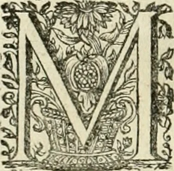 An illustration from Innocentia vindicata : in qua gravissimis argumentis ex S. Thoma petitis ostenditur, angelicum doctorem pro Immaculato Conceptu Deiparae sensisse & scripsisse ..., 1695, leaf 173