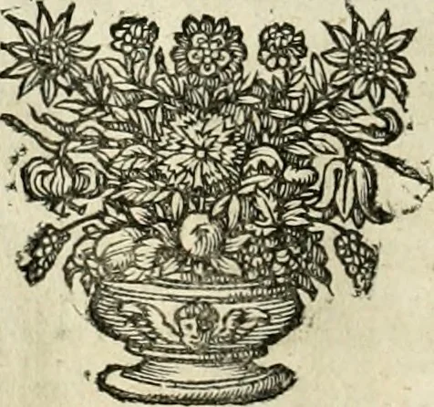 An illustration from Innocentia vindicata : in qua gravissimis argumentis ex S. Thoma petitis ostenditur, angelicum doctorem pro Immaculato Conceptu Deiparae sensisse & scripsisse ..., 1695, leaf 173
