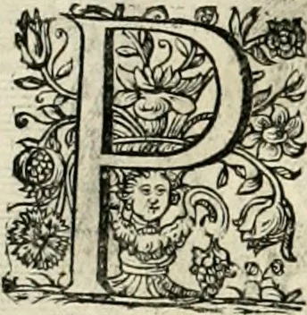 An illustration from Innocentia vindicata : in qua gravissimis argumentis ex S. Thoma petitis ostenditur, angelicum doctorem pro Immaculato Conceptu Deiparae sensisse & scripsisse ..., 1695, leaf 175