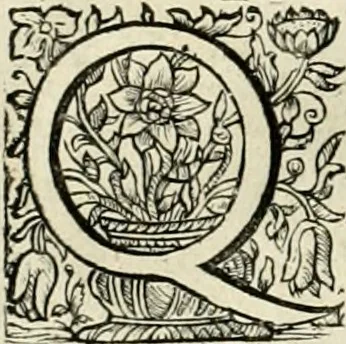 An illustration from Innocentia vindicata : in qua gravissimis argumentis ex S. Thoma petitis ostenditur, angelicum doctorem pro Immaculato Conceptu Deiparae sensisse & scripsisse ..., 1695, leaf 179