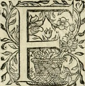 An illustration from Innocentia vindicata : in qua gravissimis argumentis ex S. Thoma petitis ostenditur, angelicum doctorem pro Immaculato Conceptu Deiparae sensisse & scripsisse ..., 1695, leaf 181