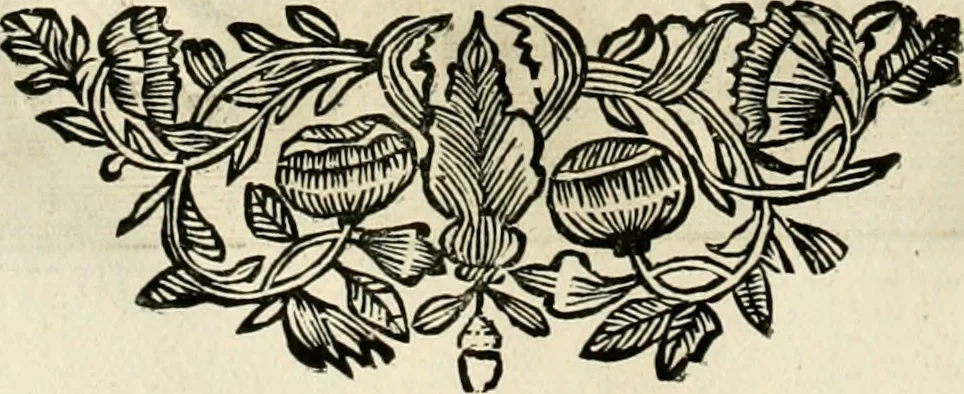 An illustration from Innocentia vindicata : in qua gravissimis argumentis ex S. Thoma petitis ostenditur, angelicum doctorem pro Immaculato Conceptu Deiparae sensisse & scripsisse ..., 1695, leaf 181