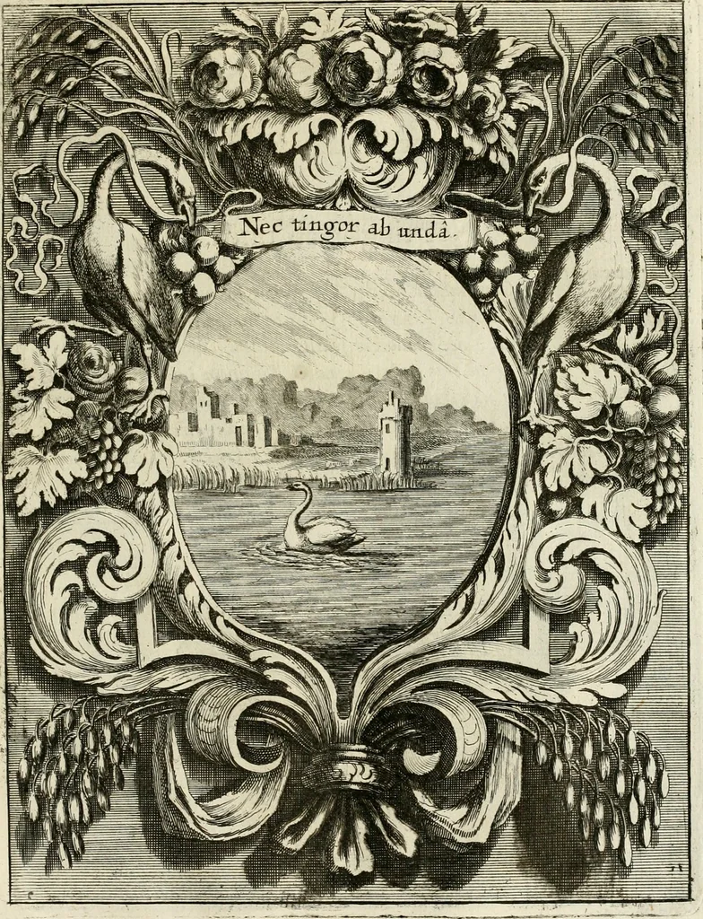 An illustration from Innocentia vindicata : in qua gravissimis argumentis ex S. Thoma petitis ostenditur, angelicum doctorem pro Immaculato Conceptu Deiparae sensisse & scripsisse ..., 1695, leaf 182