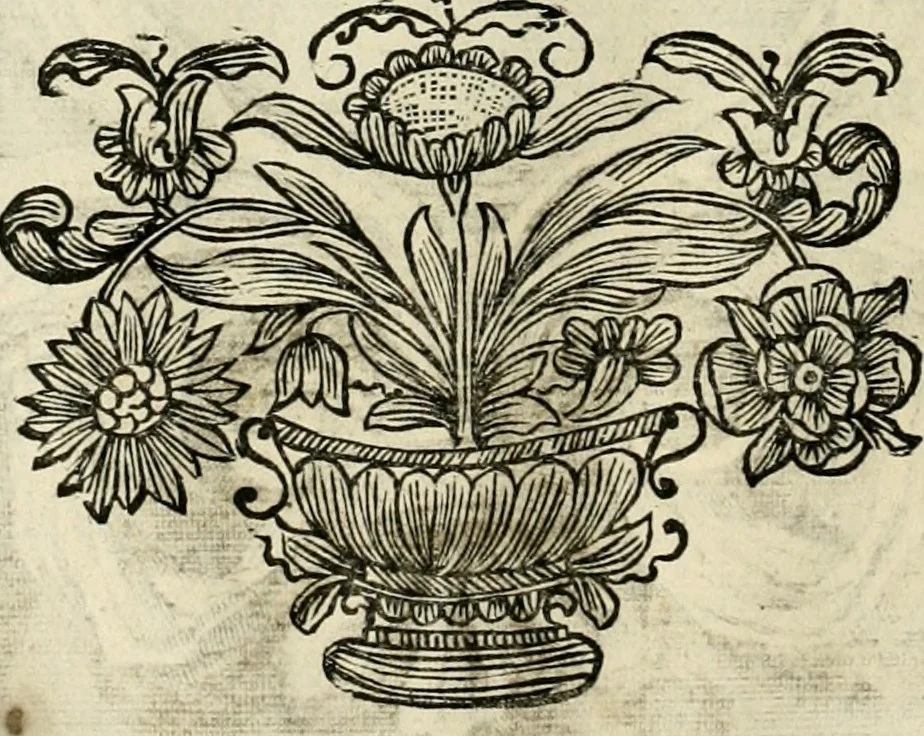 An illustration from Innocentia vindicata : in qua gravissimis argumentis ex S. Thoma petitis ostenditur, angelicum doctorem pro Immaculato Conceptu Deiparae sensisse & scripsisse ..., 1695, leaf 183