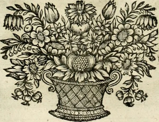 An illustration from Innocentia vindicata : in qua gravissimis argumentis ex S. Thoma petitis ostenditur, angelicum doctorem pro Immaculato Conceptu Deiparae sensisse & scripsisse ..., 1695, leaf 185