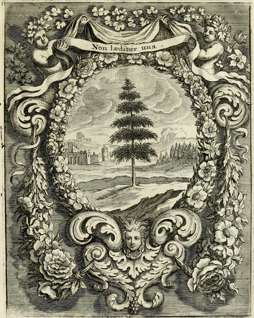 An illustration from Innocentia vindicata : in qua gravissimis argumentis ex S. Thoma petitis ostenditur, angelicum doctorem pro Immaculato Conceptu Deiparae sensisse & scripsisse ..., 1695, leaf 186