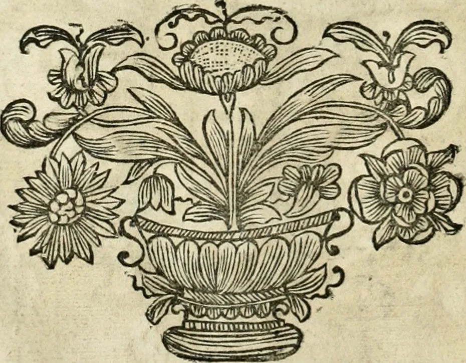An illustration from Innocentia vindicata : in qua gravissimis argumentis ex S. Thoma petitis ostenditur, angelicum doctorem pro Immaculato Conceptu Deiparae sensisse & scripsisse ..., 1695, leaf 187