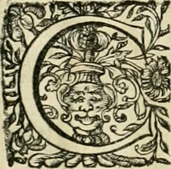 An illustration from Innocentia vindicata : in qua gravissimis argumentis ex S. Thoma petitis ostenditur, angelicum doctorem pro Immaculato Conceptu Deiparae sensisse & scripsisse ..., 1695, leaf 189
