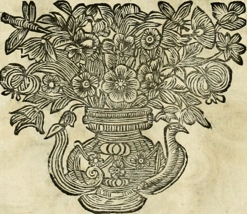 An illustration from Innocentia vindicata : in qua gravissimis argumentis ex S. Thoma petitis ostenditur, angelicum doctorem pro Immaculato Conceptu Deiparae sensisse & scripsisse ..., 1695, leaf 189