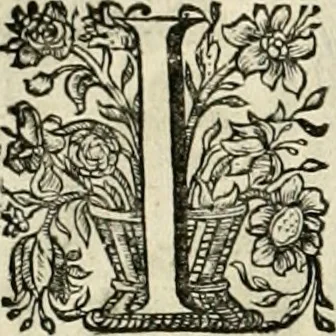 An illustration from Innocentia vindicata : in qua gravissimis argumentis ex S. Thoma petitis ostenditur, angelicum doctorem pro Immaculato Conceptu Deiparae sensisse & scripsisse ..., 1695, leaf 191