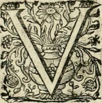 An illustration from Innocentia vindicata : in qua gravissimis argumentis ex S. Thoma petitis ostenditur, angelicum doctorem pro Immaculato Conceptu Deiparae sensisse & scripsisse ..., 1695, leaf 195