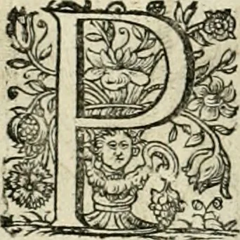 An illustration from Innocentia vindicata : in qua gravissimis argumentis ex S. Thoma petitis ostenditur, angelicum doctorem pro Immaculato Conceptu Deiparae sensisse & scripsisse ..., 1695, leaf 197