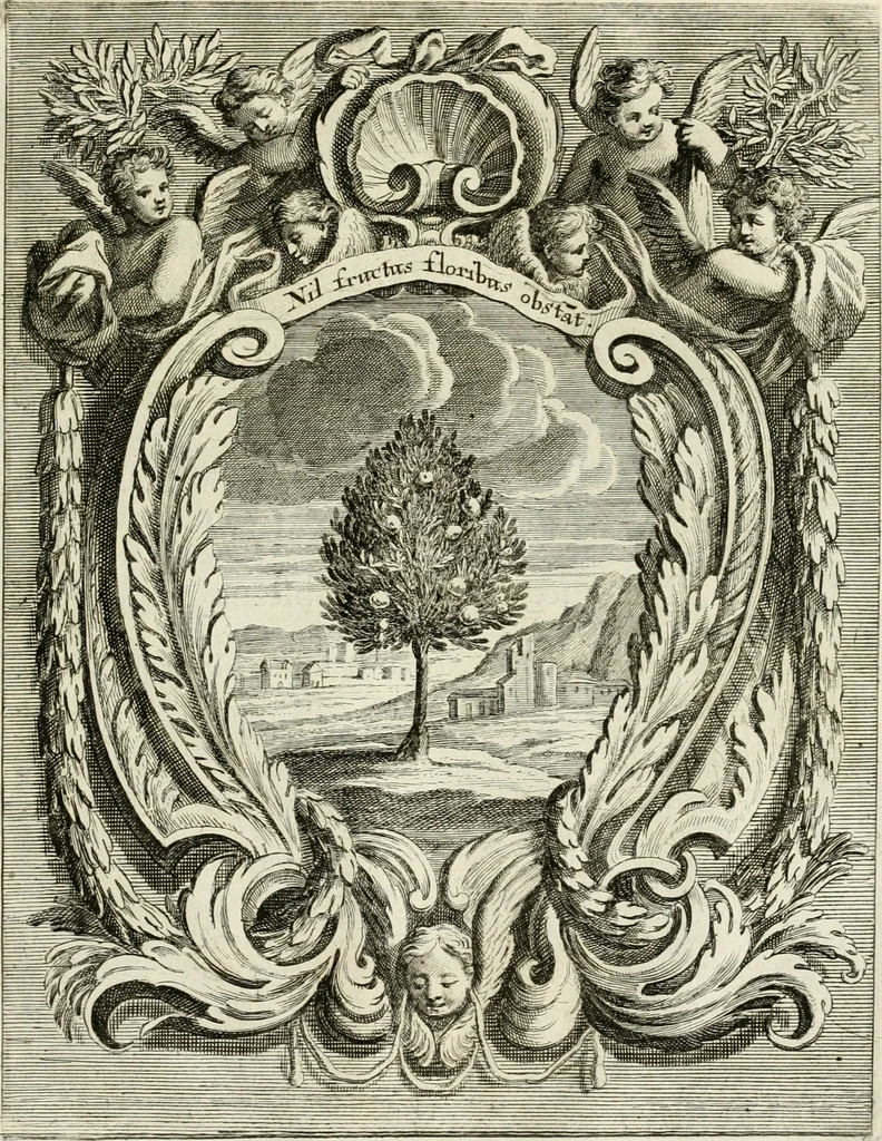 An illustration from Innocentia vindicata : in qua gravissimis argumentis ex S. Thoma petitis ostenditur, angelicum doctorem pro Immaculato Conceptu Deiparae sensisse & scripsisse ..., 1695, leaf 198