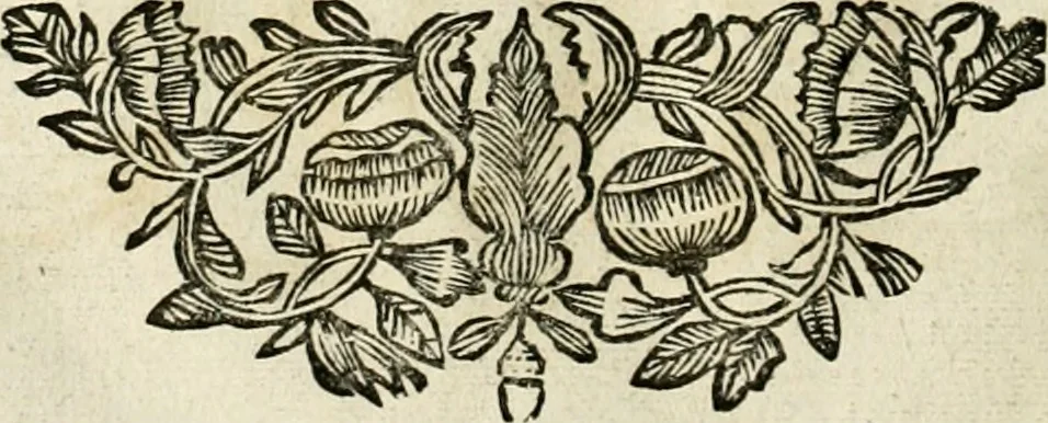 An illustration from Innocentia vindicata : in qua gravissimis argumentis ex S. Thoma petitis ostenditur, angelicum doctorem pro Immaculato Conceptu Deiparae sensisse & scripsisse ..., 1695, leaf 199