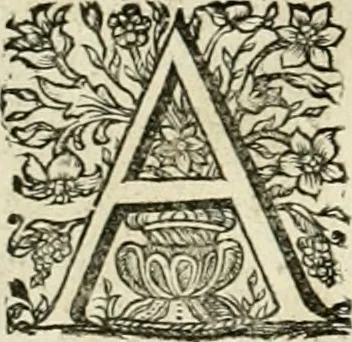 An illustration from Innocentia vindicata : in qua gravissimis argumentis ex S. Thoma petitis ostenditur, angelicum doctorem pro Immaculato Conceptu Deiparae sensisse & scripsisse ..., 1695, leaf 201