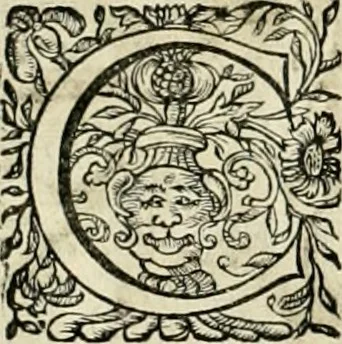 An illustration from Innocentia vindicata : in qua gravissimis argumentis ex S. Thoma petitis ostenditur, angelicum doctorem pro Immaculato Conceptu Deiparae sensisse & scripsisse ..., 1695, leaf 203