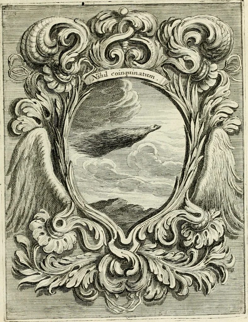 An illustration from Innocentia vindicata : in qua gravissimis argumentis ex S. Thoma petitis ostenditur, angelicum doctorem pro Immaculato Conceptu Deiparae sensisse & scripsisse ..., 1695, leaf 204