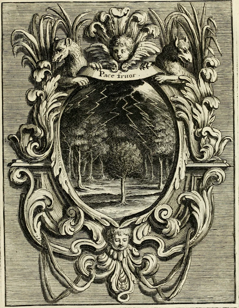 An illustration from Innocentia vindicata : in qua gravissimis argumentis ex S. Thoma petitis ostenditur, angelicum doctorem pro Immaculato Conceptu Deiparae sensisse & scripsisse ..., 1695, leaf 206