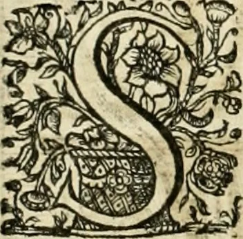 An illustration from Innocentia vindicata : in qua gravissimis argumentis ex S. Thoma petitis ostenditur, angelicum doctorem pro Immaculato Conceptu Deiparae sensisse & scripsisse ..., 1695, leaf 207