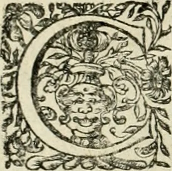 An illustration from Innocentia vindicata : in qua gravissimis argumentis ex S. Thoma petitis ostenditur, angelicum doctorem pro Immaculato Conceptu Deiparae sensisse & scripsisse ..., 1695, leaf 209