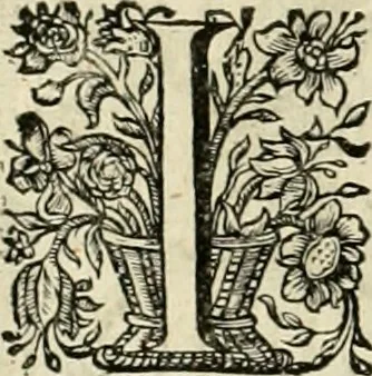 An illustration from Innocentia vindicata : in qua gravissimis argumentis ex S. Thoma petitis ostenditur, angelicum doctorem pro Immaculato Conceptu Deiparae sensisse & scripsisse ..., 1695, leaf 213