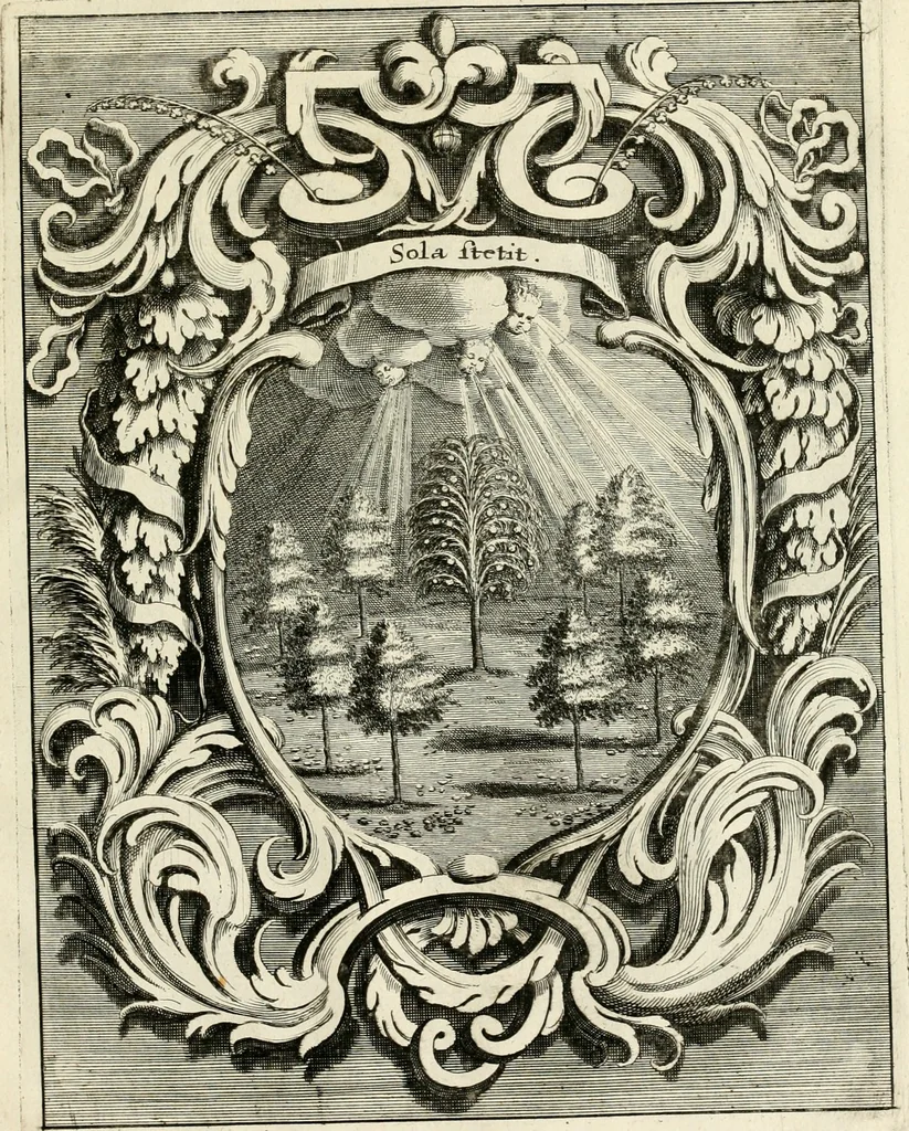 An illustration from Innocentia vindicata : in qua gravissimis argumentis ex S. Thoma petitis ostenditur, angelicum doctorem pro Immaculato Conceptu Deiparae sensisse & scripsisse ..., 1695, leaf 214