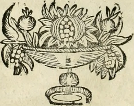 An illustration from Innocentia vindicata : in qua gravissimis argumentis ex S. Thoma petitis ostenditur, angelicum doctorem pro Immaculato Conceptu Deiparae sensisse & scripsisse ..., 1695, leaf 215