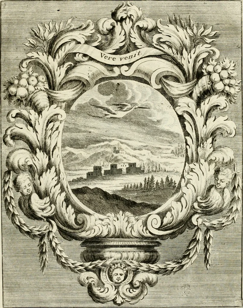 An illustration from Innocentia vindicata : in qua gravissimis argumentis ex S. Thoma petitis ostenditur, angelicum doctorem pro Immaculato Conceptu Deiparae sensisse & scripsisse ..., 1695, leaf 216