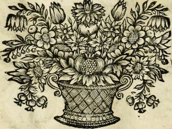 An illustration from Innocentia vindicata : in qua gravissimis argumentis ex S. Thoma petitis ostenditur, angelicum doctorem pro Immaculato Conceptu Deiparae sensisse & scripsisse ..., 1695, leaf 219