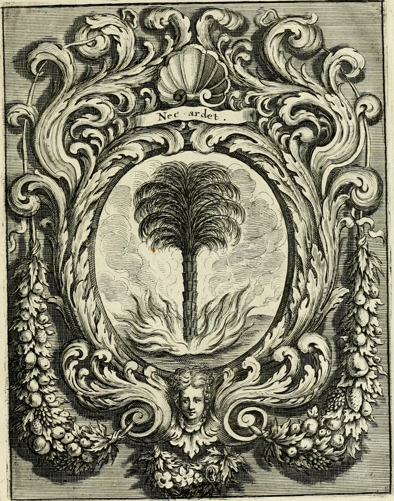 An illustration from Innocentia vindicata : in qua gravissimis argumentis ex S. Thoma petitis ostenditur, angelicum doctorem pro Immaculato Conceptu Deiparae sensisse & scripsisse ..., 1695, leaf 220