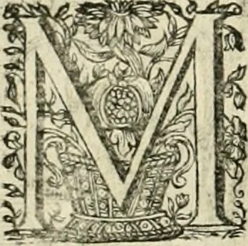 An illustration from Innocentia vindicata : in qua gravissimis argumentis ex S. Thoma petitis ostenditur, angelicum doctorem pro Immaculato Conceptu Deiparae sensisse & scripsisse ..., 1695, leaf 221