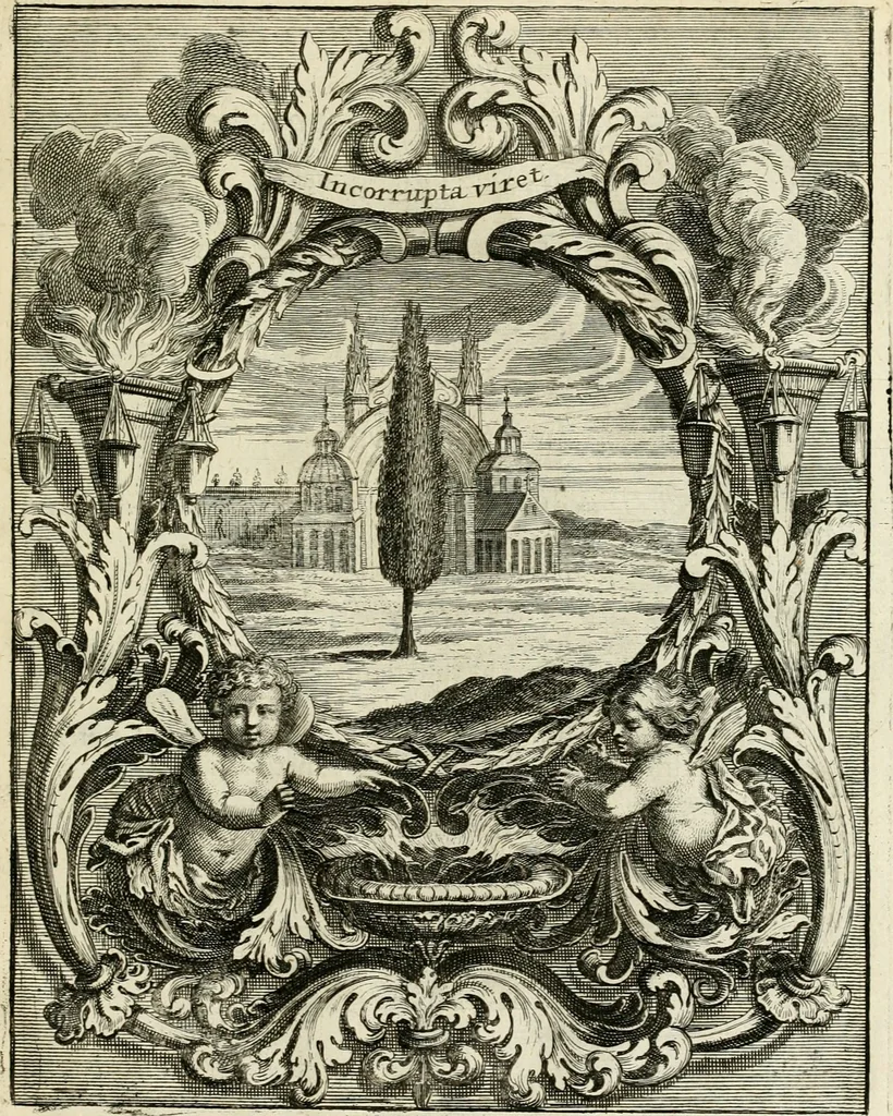 An illustration from Innocentia vindicata : in qua gravissimis argumentis ex S. Thoma petitis ostenditur, angelicum doctorem pro Immaculato Conceptu Deiparae sensisse & scripsisse ..., 1695, leaf 224
