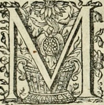 An illustration from Innocentia vindicata : in qua gravissimis argumentis ex S. Thoma petitis ostenditur, angelicum doctorem pro Immaculato Conceptu Deiparae sensisse & scripsisse ..., 1695, leaf 225