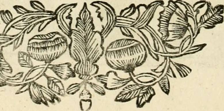 An illustration from Innocentia vindicata : in qua gravissimis argumentis ex S. Thoma petitis ostenditur, angelicum doctorem pro Immaculato Conceptu Deiparae sensisse & scripsisse ..., 1695, leaf 227