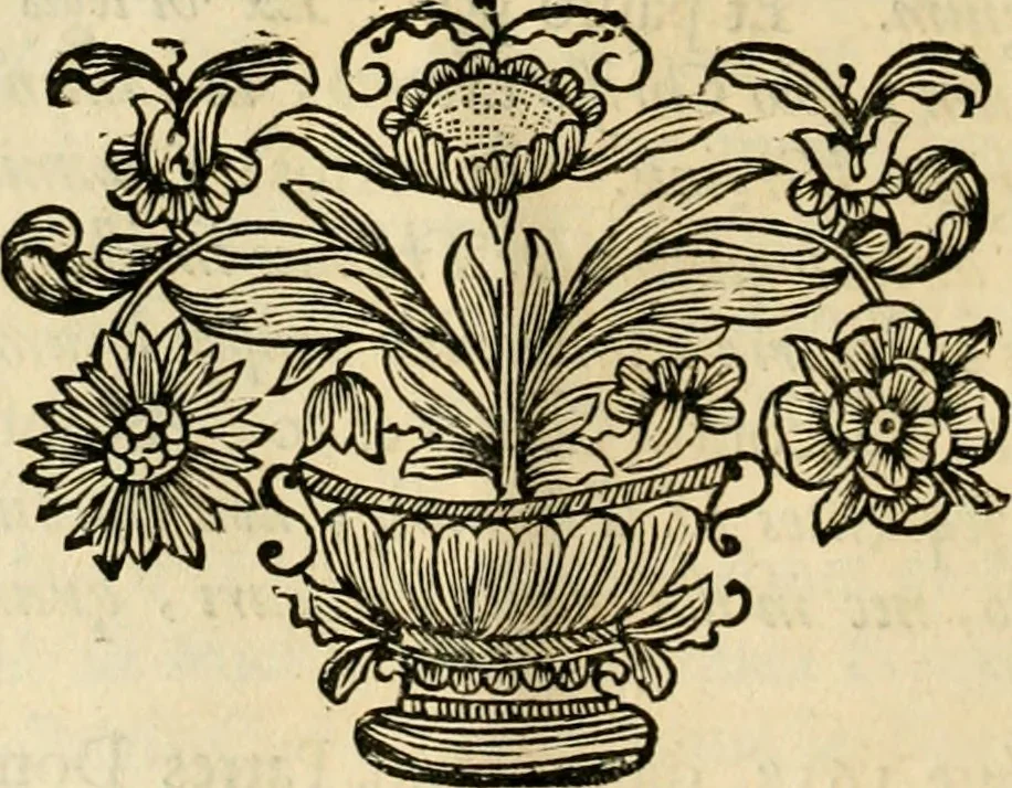 An illustration from Innocentia vindicata : in qua gravissimis argumentis ex S. Thoma petitis ostenditur, angelicum doctorem pro Immaculato Conceptu Deiparae sensisse & scripsisse ..., 1695, leaf 23