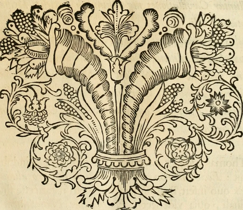 An illustration from Innocentia vindicata : in qua gravissimis argumentis ex S. Thoma petitis ostenditur, angelicum doctorem pro Immaculato Conceptu Deiparae sensisse & scripsisse ..., 1695, leaf 28