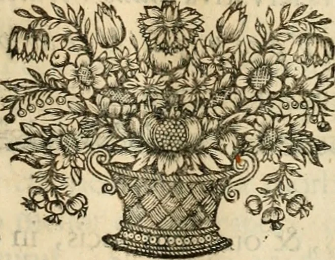 An illustration from Innocentia vindicata : in qua gravissimis argumentis ex S. Thoma petitis ostenditur, angelicum doctorem pro Immaculato Conceptu Deiparae sensisse & scripsisse ..., 1695, leaf 36
