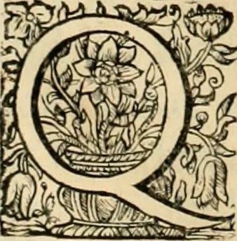 An illustration from Innocentia vindicata : in qua gravissimis argumentis ex S. Thoma petitis ostenditur, angelicum doctorem pro Immaculato Conceptu Deiparae sensisse & scripsisse ..., 1695, leaf 37