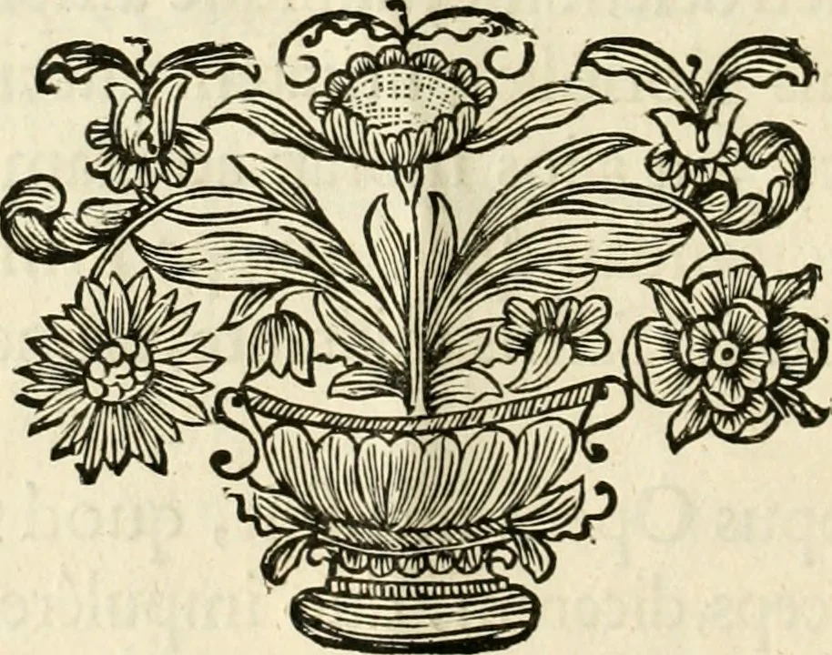An illustration from Innocentia vindicata : in qua gravissimis argumentis ex S. Thoma petitis ostenditur, angelicum doctorem pro Immaculato Conceptu Deiparae sensisse & scripsisse ..., 1695, leaf 7