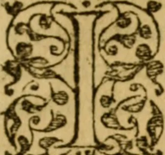 An illustration from In omnes Pauli apostoli epistolas, atque etiam in Epistolam ad Hebraeos, & omnes canonicas, 1565, leaf 10